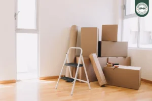 Dubai Moving Experts – Oxford Star Movers At Your Side
