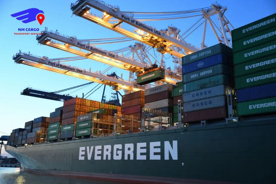 Hassle-Free Relocation by NM Cargo Shipping and Mover Service