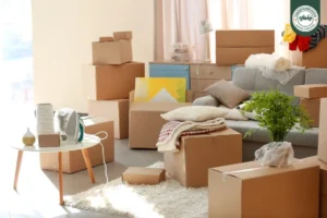 Oxford Star Movers: House Shifting Services in Dubai