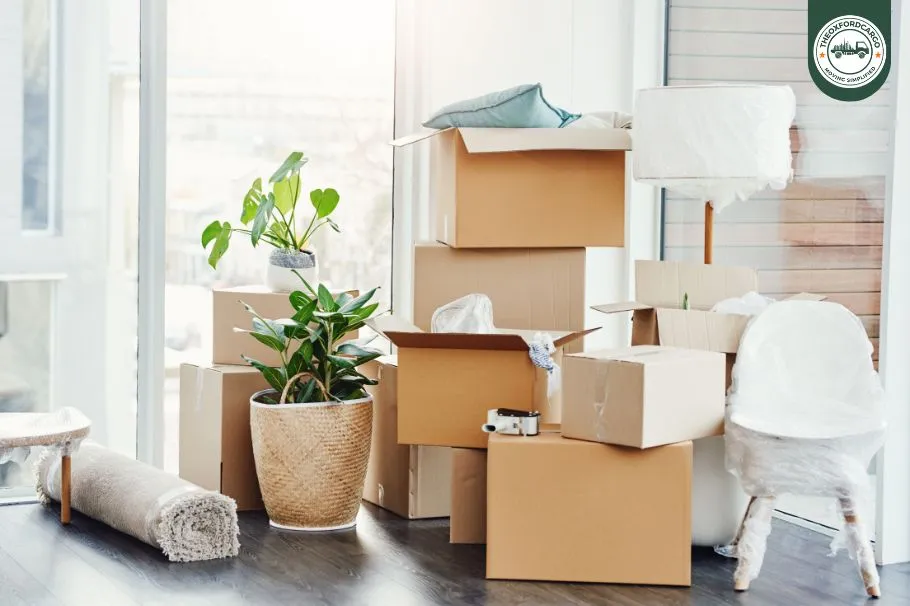Oxford Star Movers: Moving Company Near Me in Dubai