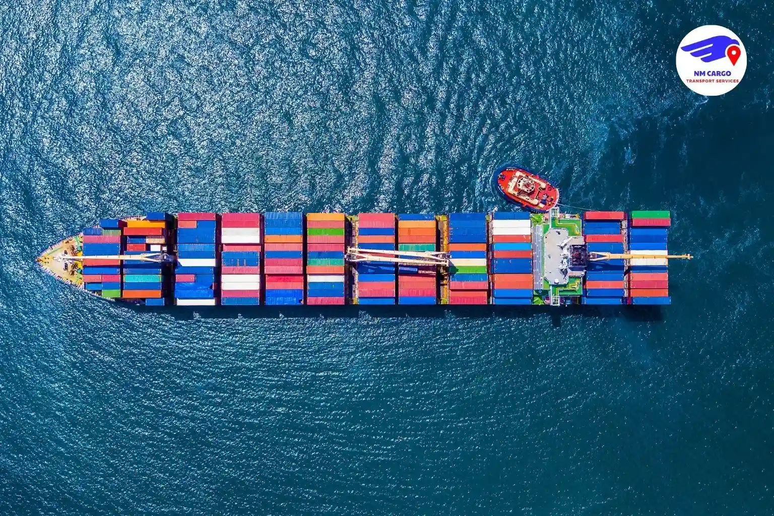 Why Expats Trust NM Cargo Shipping and Mover Service for Relocation